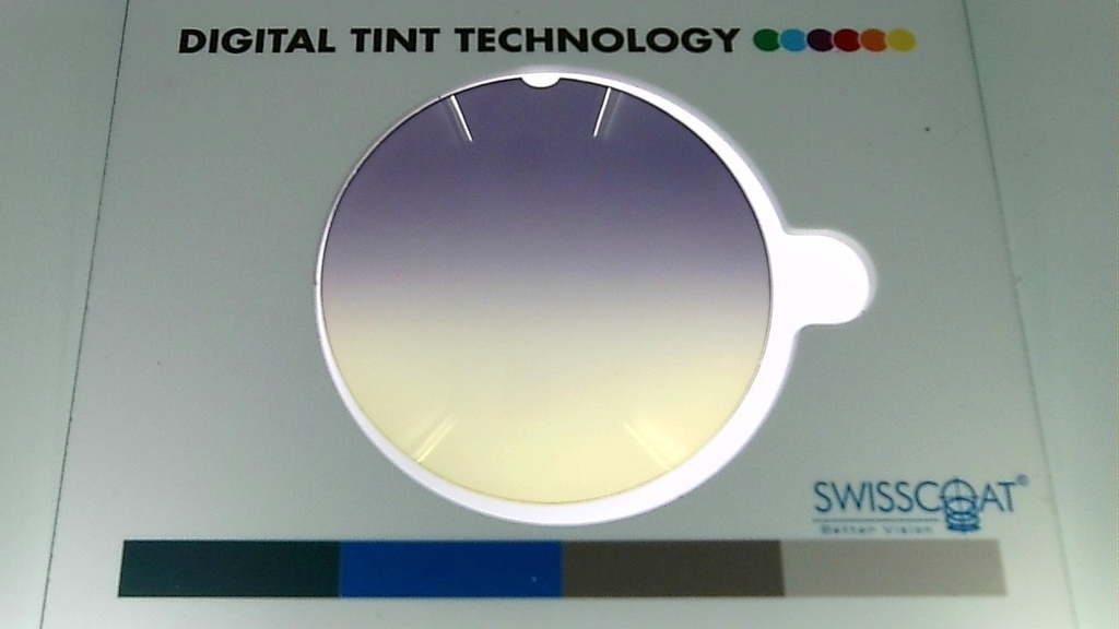 Stock 15 B6 S17 The Bee