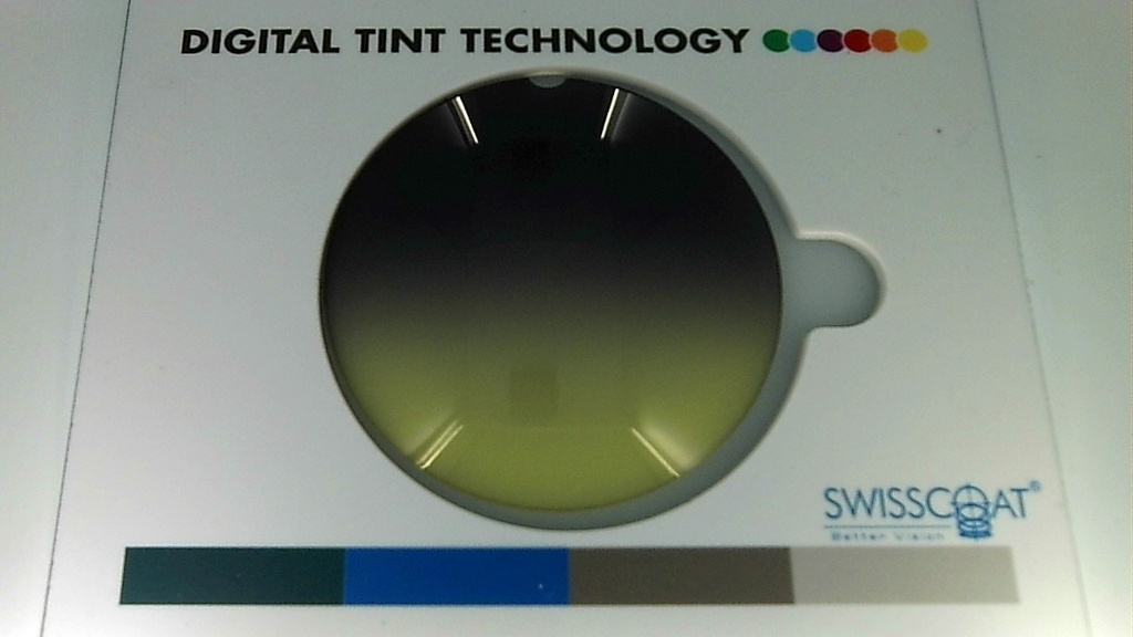 Stock 15 B6 S17 The Bee