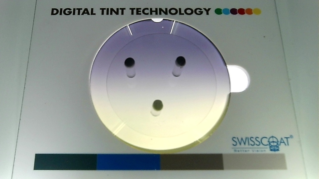 Stock 15 B6 S17 The Bee