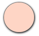 [STAN22] Stock Plan Nylon B2 M22 Rose New York ArSunBack
