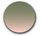 [STAM21] Stock 15 B2 M21 Candy Green ArSunBack