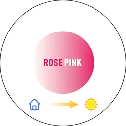 [STBPRO] Stock Plan16 Ar+ PhotoArmor Rose/Pink